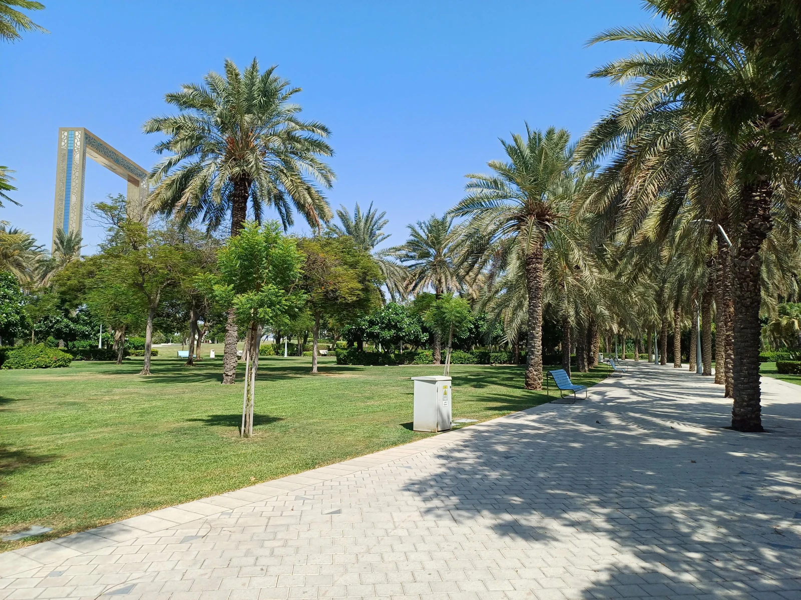 Zabeel Park in Dubai, photographed in 2024